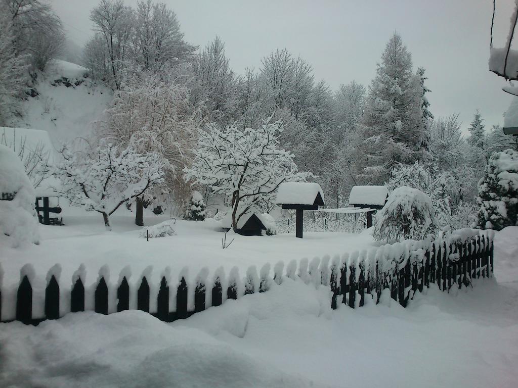 Penzion Encian Mýto pod Ďumbierom Exteriör bild